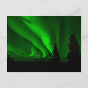 Standaard Briefkaart