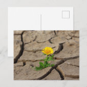 Standaard Briefkaart (Voorkant / Achterkant)