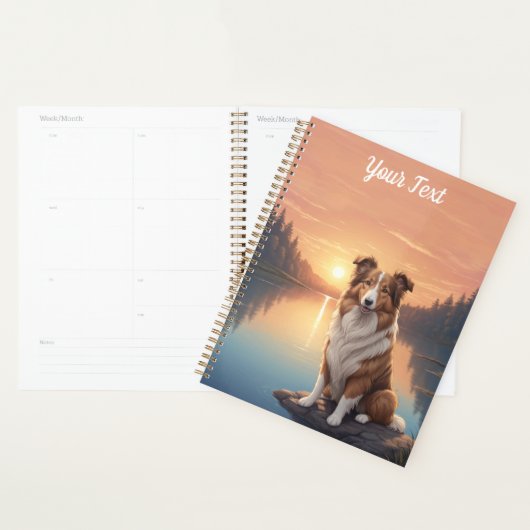 Standaard Collie bij Lake Planner (Display)