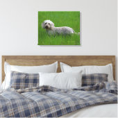 Standaard dachshund met wierharing in gras canvas afdruk (Insitu (Slaapkamer))