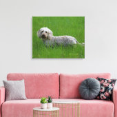 Standaard dachshund met wierharing in gras canvas afdruk (Insitu (Woonkamer))