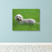 Standaard dachshund met wierharing in gras canvas afdruk (Insitu (Houten vloer))