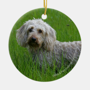 Standaard dachshund met wierharing in gras keramisch ornament