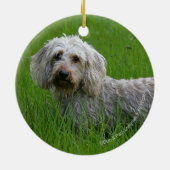 Standaard dachshund met wierharing in gras keramisch ornament (Achterkant)