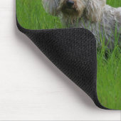 Standaard dachshund met wierharing in gras muismat (Hoek)