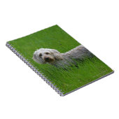 Standaard dachshund met wierharing in gras notitieboek (Rechterzijde)