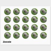 Standaard dachshund met wierharing in gras ronde sticker (Vel)