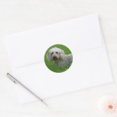 Standaard dachshund met wierharing in gras ronde sticker (Envelop)