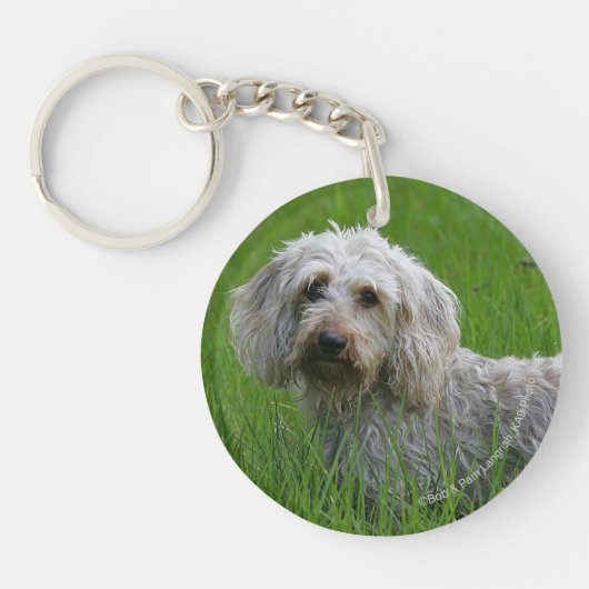 Standaard dachshund met wierharing in gras sleutelhanger (Voorkant)