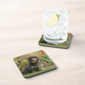 Standaard Dachshund met wirespeed Bier Onderzetter (Rechterzijde)