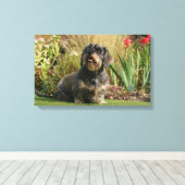 Standaard Dachshund met wirespeed Canvas Afdruk (Insitu (Houten vloer))