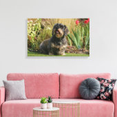 Standaard Dachshund met wirespeed Canvas Afdruk (Insitu (Woonkamer))
