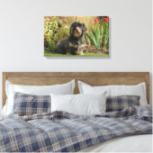 Standaard Dachshund met wirespeed Canvas Afdruk (Insitu (Slaapkamer))