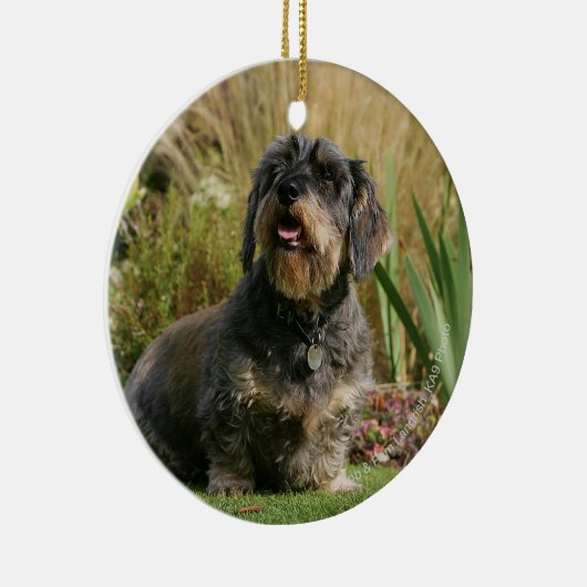 Standaard Dachshund met wirespeed Keramisch Ornament (Rechts)