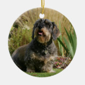 Standaard Dachshund met wirespeed Keramisch Ornament (Voorkant)
