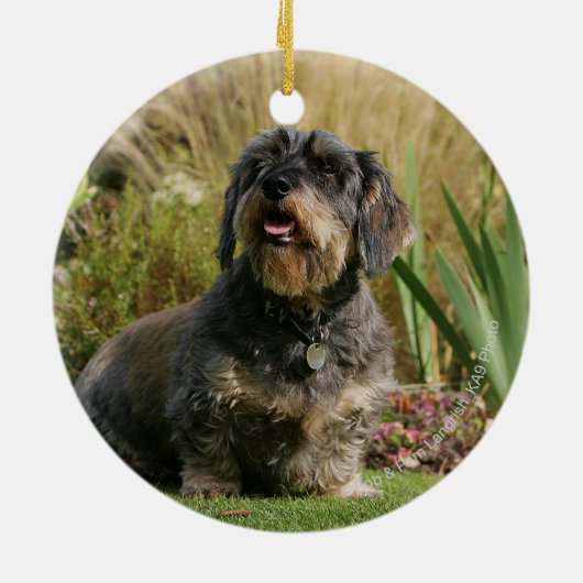 Standaard Dachshund met wirespeed Keramisch Ornament (Achterkant)
