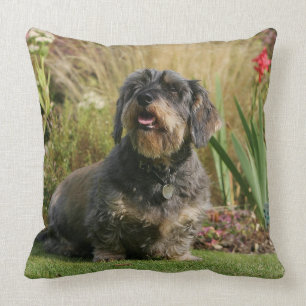 Standaard Dachshund met wirespeed Kussen