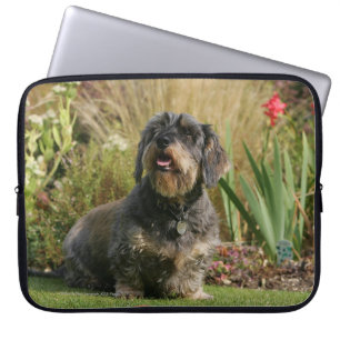 Standaard Dachshund met wirespeed Laptop Sleeve