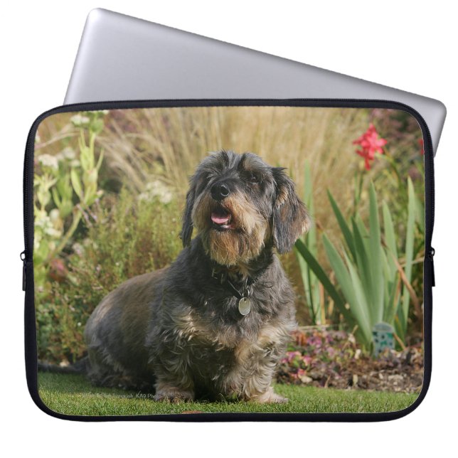 Standaard Dachshund met wirespeed Laptop Sleeve (Voorkant)