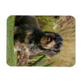 Standaard Dachshund met wirespeed Magneet (Horizontaal)