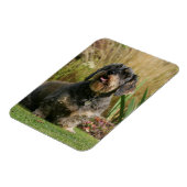 Standaard Dachshund met wirespeed Magneet (Linkerzijde)