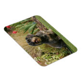 Standaard Dachshund met wirespeed Magneet (Rechterzijde)