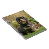 Standaard Dachshund met wirespeed Notitieboek (Rechterzijde)