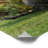 Standaard Dachshund met wirespeed Poster (Hoek)