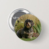 Standaard Dachshund met wirespeed Ronde Button 5,7 Cm (Voorkant /achterkant)