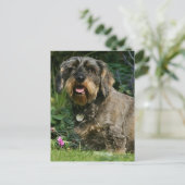 Standaard Dachshund-spits met aderharing Briefkaart (Staand voorkant)