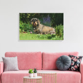 Standaard Dachshund-spits met aderharing Canvas Afdruk (Insitu (Woonkamer))