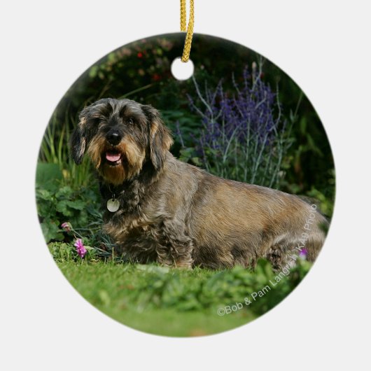 Standaard Dachshund-spits met aderharing Keramisch Ornament (Voorkant)