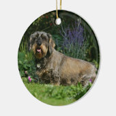 Standaard Dachshund-spits met aderharing Keramisch Ornament (Links)