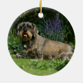 Standaard Dachshund-spits met aderharing Keramisch Ornament (Achterkant)