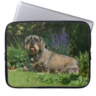 Standaard Dachshund-spits met aderharing Laptop Sleeve