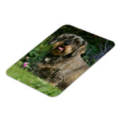 Standaard Dachshund-spits met aderharing Magneet (Linkerzijde)