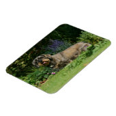 Standaard Dachshund-spits met aderharing Magneet (Linkerzijde)