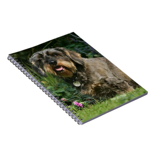 Standaard Dachshund-spits met aderharing Notitieboek (Rechterzijde)