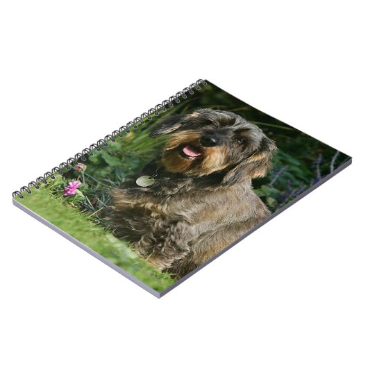 Standaard Dachshund-spits met aderharing Notitieboek (Linkerzijde)