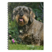 Standaard Dachshund-spits met aderharing Notitieboek (Voorkant)
