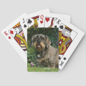 Standaard Dachshund-spits met aderharing Pokerkaarten (Achterkant)