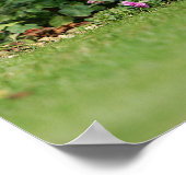 Standaard Dachshund-spits met aderharing Poster (Hoek)