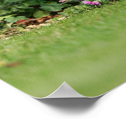 Standaard Dachshund-spits met aderharing Poster (Hoek)