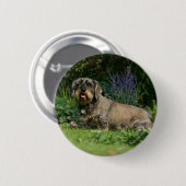 Standaard Dachshund-spits met aderharing Ronde Button 5,7 Cm (Voorkant /achterkant)