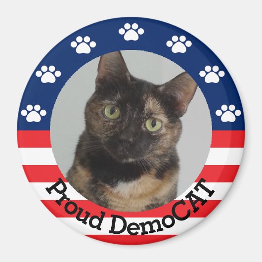  standaard DemoCAT Magneet (Voorkant)