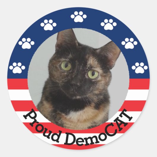  standaard DemoCAT Ronde Sticker (Voorkant)