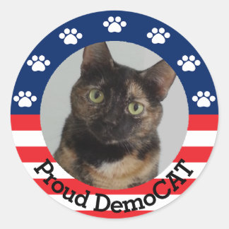  standaard DemoCAT Ronde Sticker