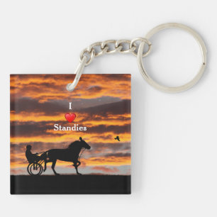 Standaard draaiende paardenraceSleutelhanger Sleutelhanger