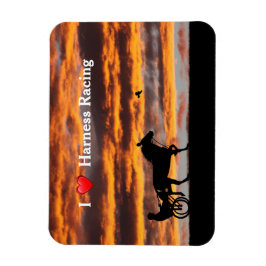 Standaard draaiende wervelpaard Flexibel magneet