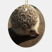 Standaard egelvormgeving keramisch ornament (Links)